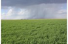 Property photo 108 - LAND AUCTION, 3255+/- Acres offered in 13 Tracts